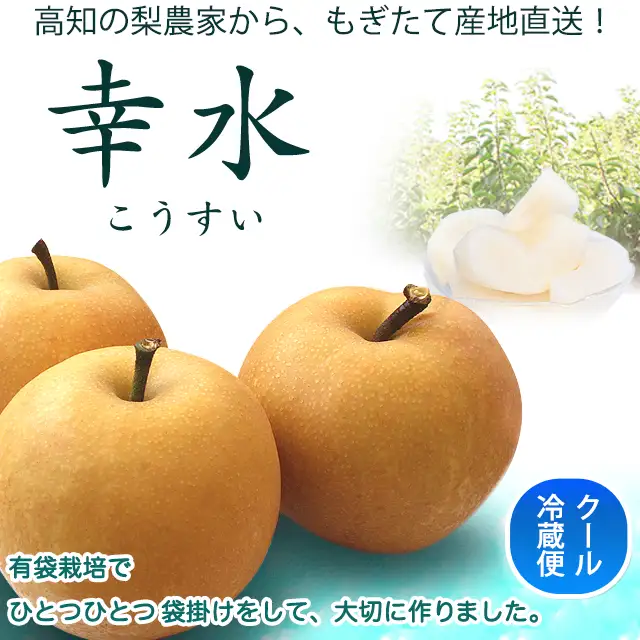 幸水（こうすい）梨・もぎたて産地直送