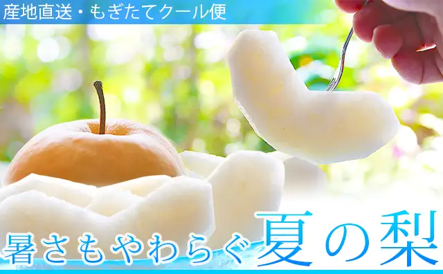 幸水（こうすい）梨