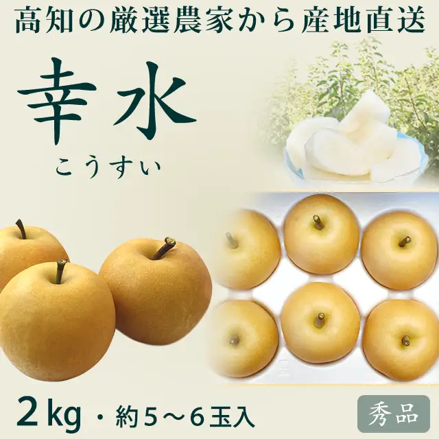 幸水梨（こうすいなし）・秀品2kg・5～7玉入り・厳選農家のもぎたて・産地直送