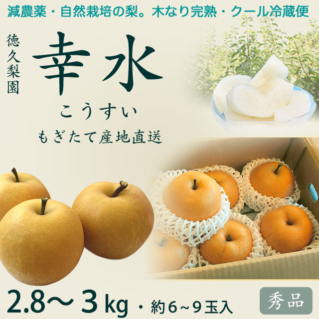 幸水梨（なし）2.8～3kg