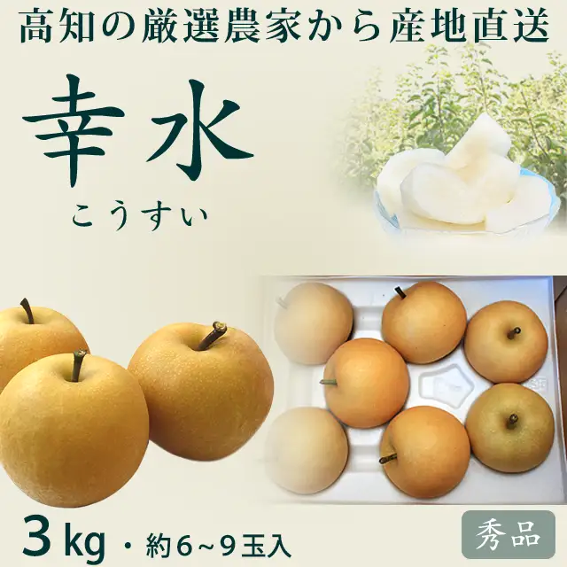 幸水梨（こうすいなし）・秀品・約2.8～3kg・6～9玉入り・産地直送
