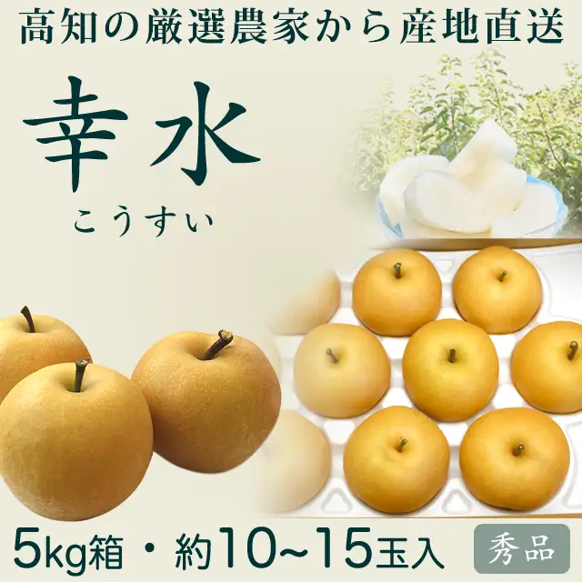 幸水（こうすい）梨・秀品5kg・10～15玉入り・厳選農家の産地直送