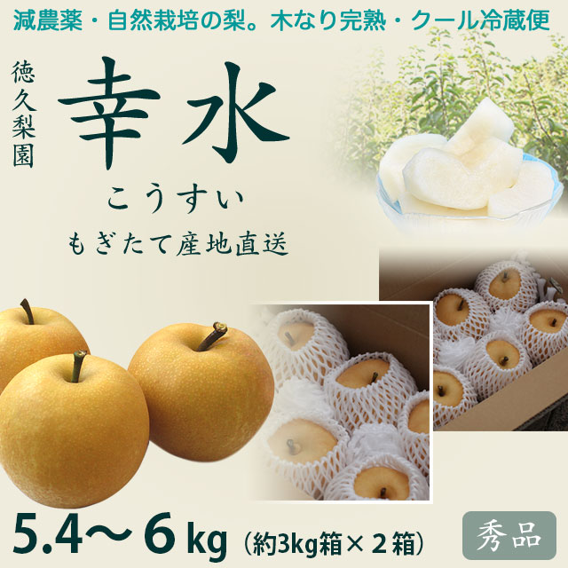 ジジ＆リリィ　柚子　自然栽培　5キロ 種無し柚子「多田錦」と完熟蜂蜜600gのセット | こだわり農家直送便