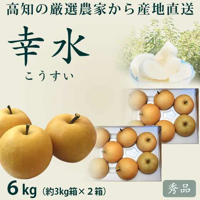 幸水（こうすい）梨・計6kg（3㎏×2箱セット）