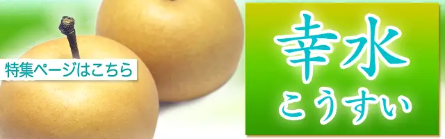 幸水（こうすい）梨