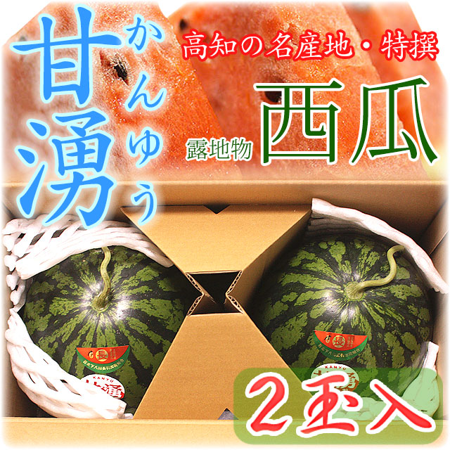 高知県産・特撰高級西瓜（スイカ）・露地物・秀品・大玉2Lサイズ・2個