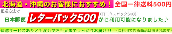 レターパック500