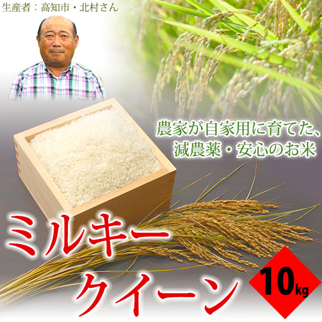ミルキークイーン・高知のお米・農家の自家用・玄米～白米・10kg【送料無料】
