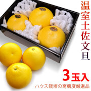 3玉入（中玉サイズ）