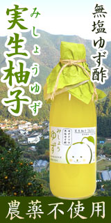 ゆずタマ印の実生柚子（みしょうゆず）