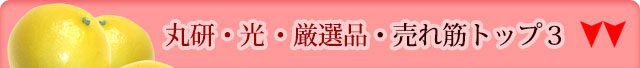 丸研（まるけん）・光（ひかり）・厳選品・売れ筋トップ3はこちら↓