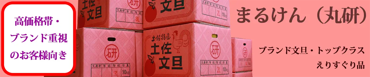 丸研（まるけん）ブランド文旦・えりすぐり厳選品