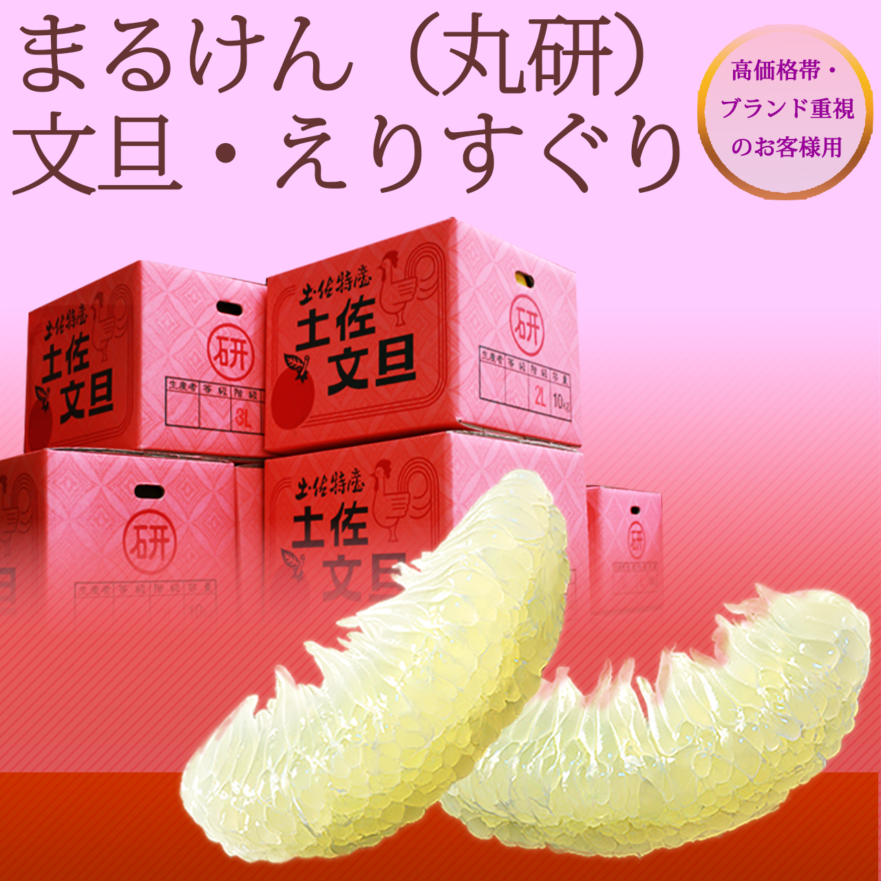 土佐文旦・丸研（まるけん）ブランド・トップクラス厳選品