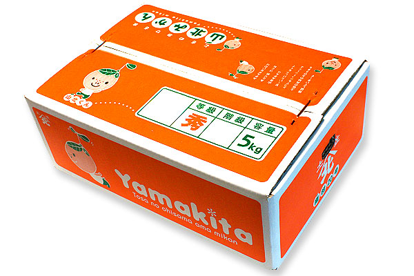 オレンジ色の箱で発送