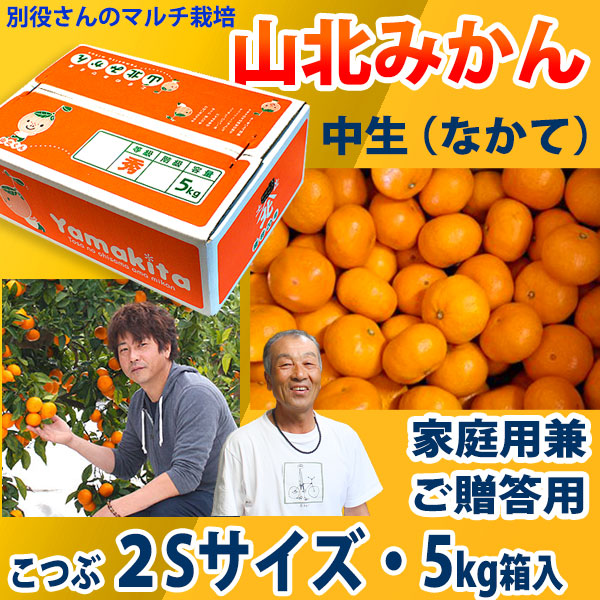 別役さんちの山北マルチ栽培みかん・中生（なかて）・秀品（家庭用兼ご贈答用）・5kg箱入・小粒2Sサイズ