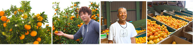 別役さんの産地直送品もあります