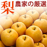 美味しい梨・農家直送