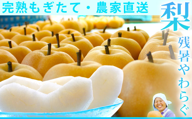 梨（なし）・農家から産地直送