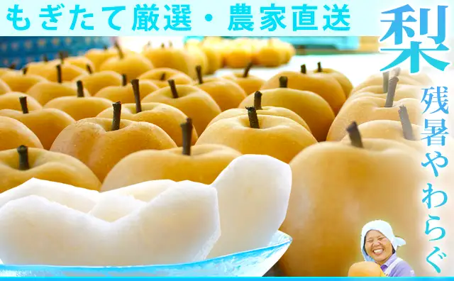 凛夏（りんか）梨（なし）・農家から産地直送 もぎたての美味