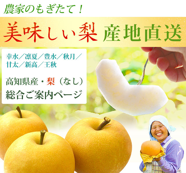 高知県産・梨（なし）の総合ご案内ページ