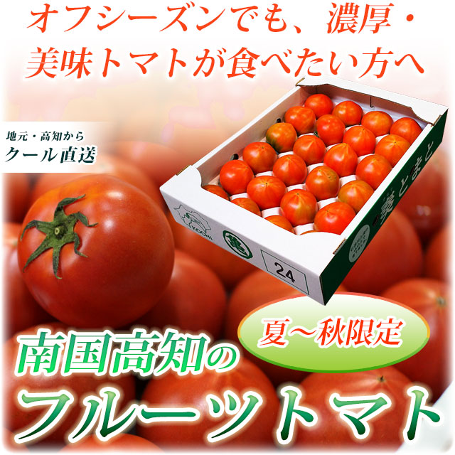 フルーツトマト 高知県産トマト販売 高知さとのわ