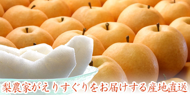 新高梨 美味しい高知県産にいたかなし販売
