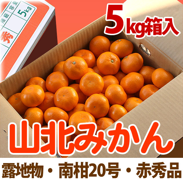 山北みかん・露地もの・南柑20号・秀品・5kg箱【送料無料】