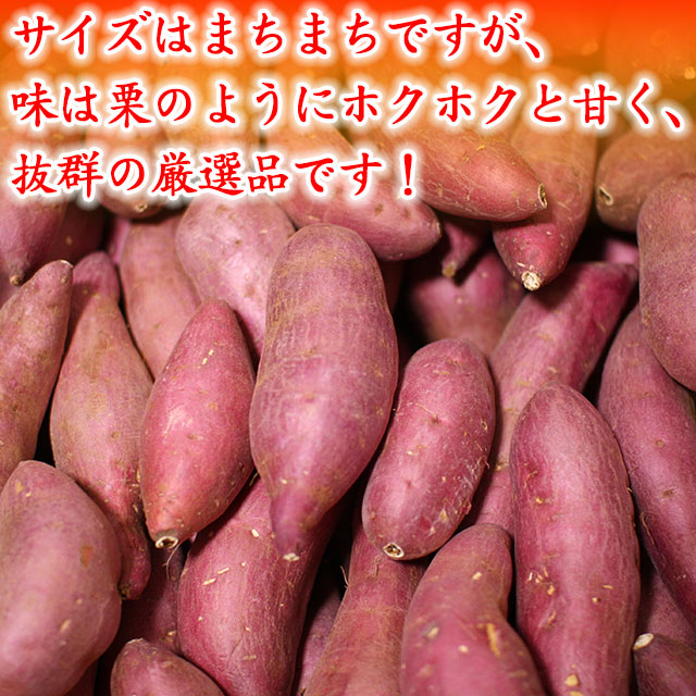 薩摩芋(西山きんとき・高知金時)・一生産者・厳選品の家庭用です。