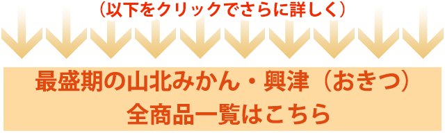 山北みかん・興津（おきつ）・全商品一覧はこちら