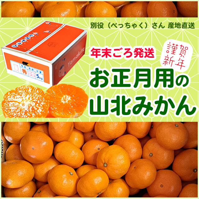 お正月に食べるみかん・高知・山北から産地直送