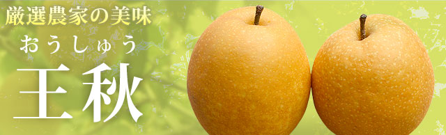 王秋（おうしゅう）梨・産地直送