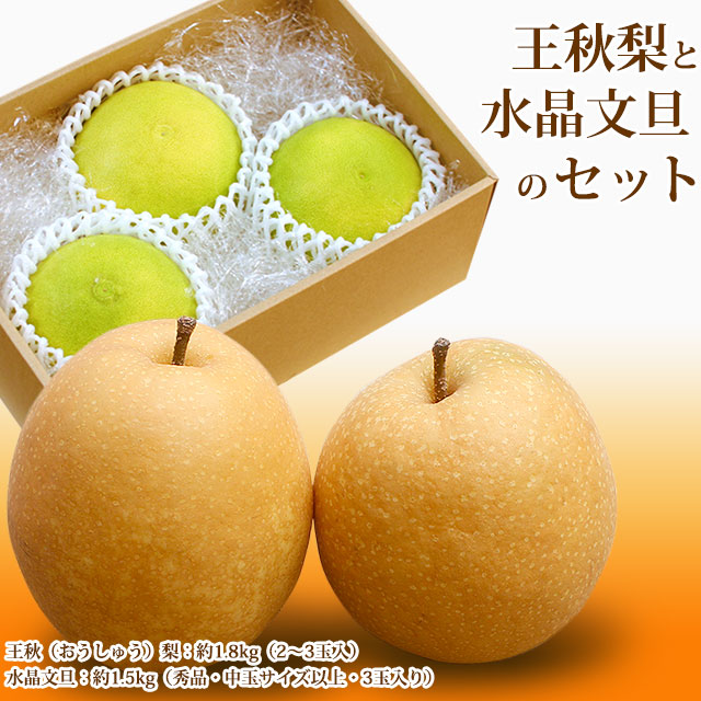 王秋梨と水晶文旦