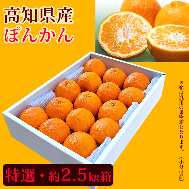 ぽんかん（高知県産・味よし厳選品）特選・約2.5kg箱（小分け品）