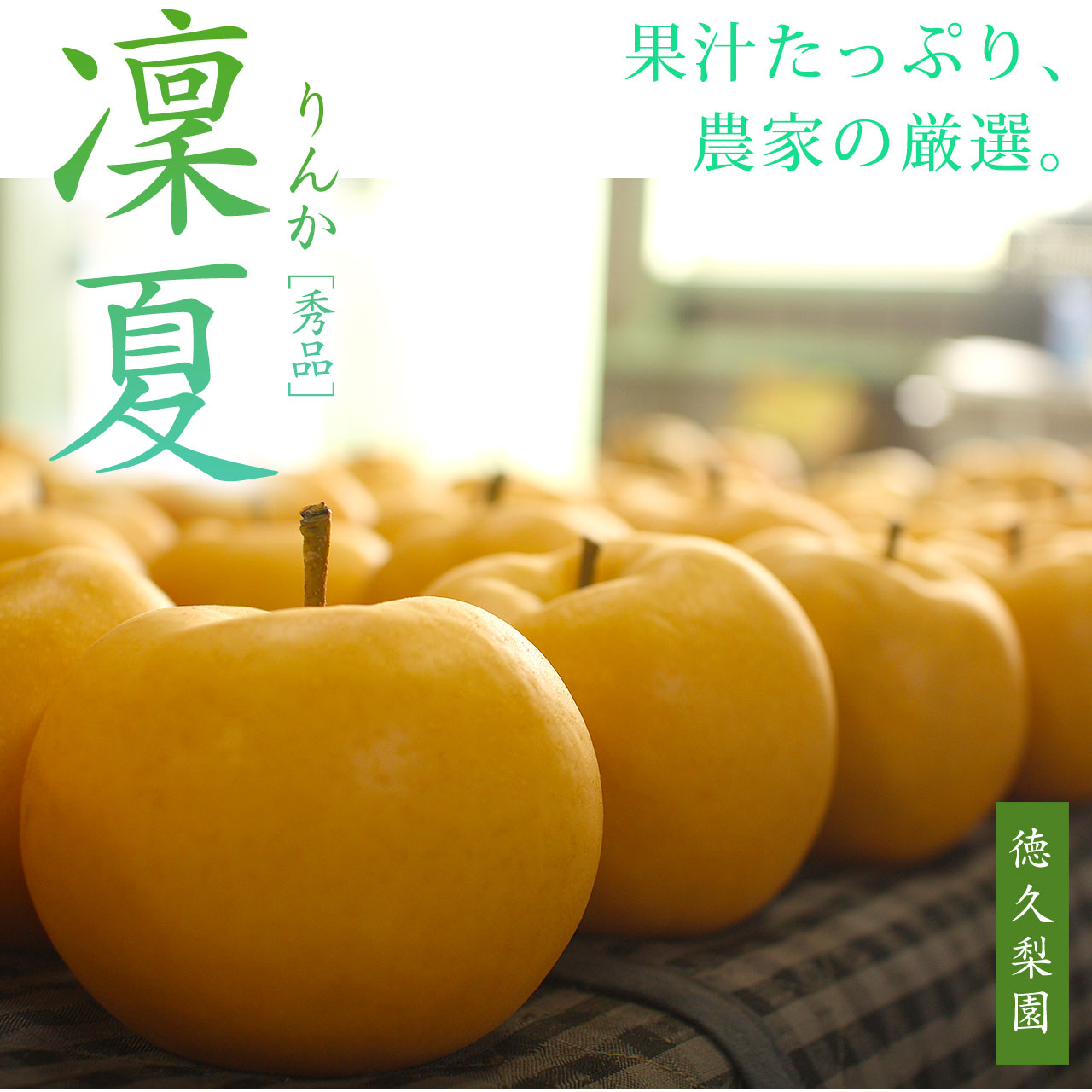 凜夏(りんか)梨