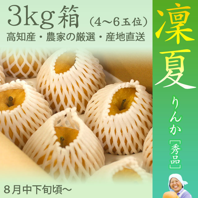 ⚠️みずいろ⚠️茨城県産　梨/凛夏　秀品/14玉+フリーサイズ　5キロ×2 ⚠️みずいろ様専用⚠️茨城県産 梨/凛夏 秀品/14玉+