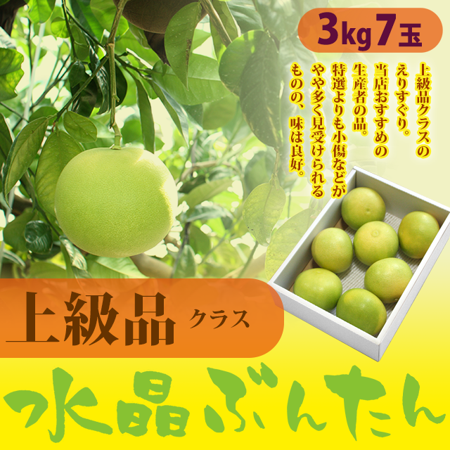 水晶文旦 上級品 3kg7玉