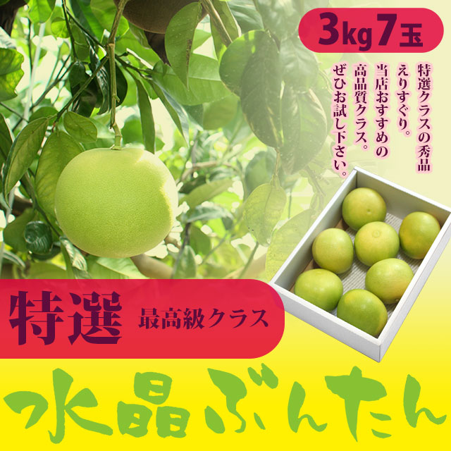 生産者厳選・水晶文旦（高知県産）・特選ご贈答用・3kg箱・7玉入