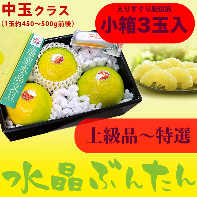 生産者厳選・水晶文旦（高知県産）・上級品～秀品（ご贈答用）・ハウス（温室栽培）・小箱・3玉入【送料無料】