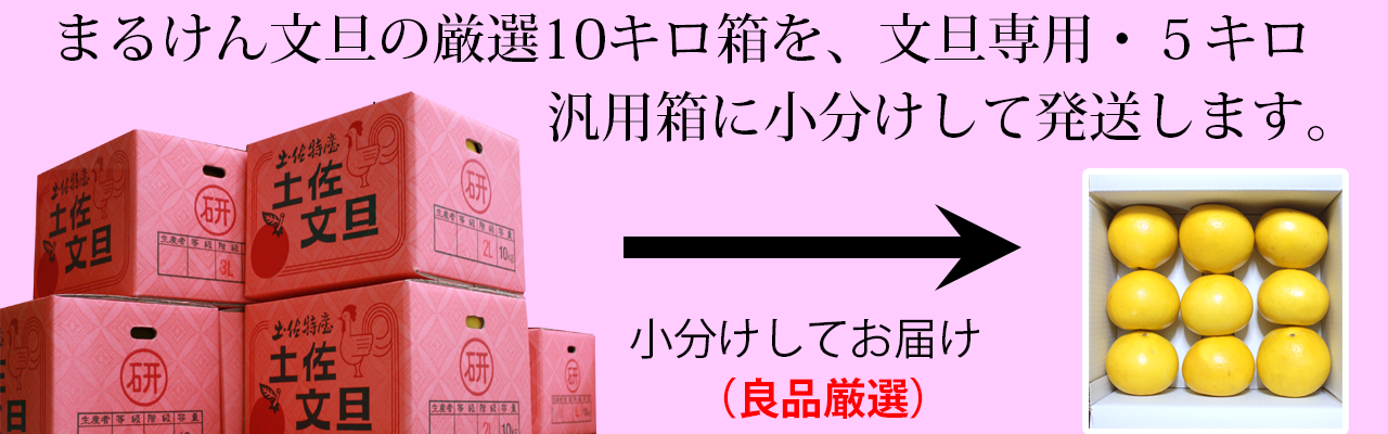 まるけん10kg箱を、5kg文旦汎用箱に小分けしてお届けします