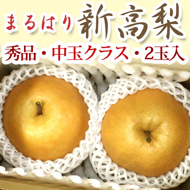 【産地直送】針木産の新高梨（にいたかなし）・高知市針木梨組合（まるはり）・秀品（ご贈答用）・中玉クラス・2玉入