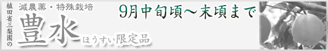 【数量限定】豊水梨（ほうすいなし）