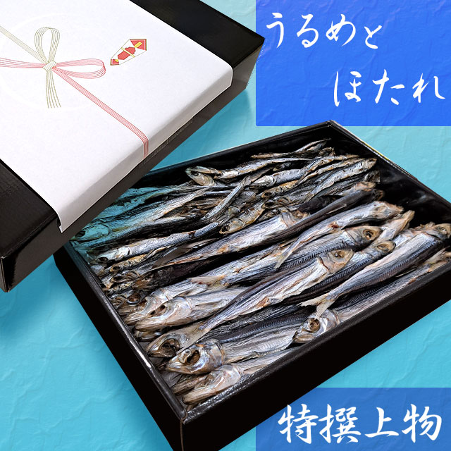 「天日干し・一本釣りうるめいわし丸干し」と「ほたれ上干」のセット（化粧箱入）