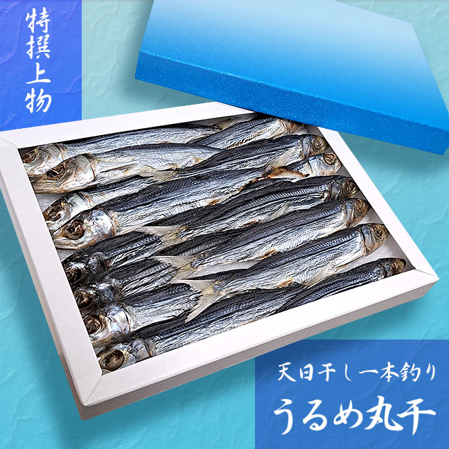 高知沖どれ「天日干し・一本釣りうるめいわし丸干し」・特撰上物・400g（化粧箱入り）