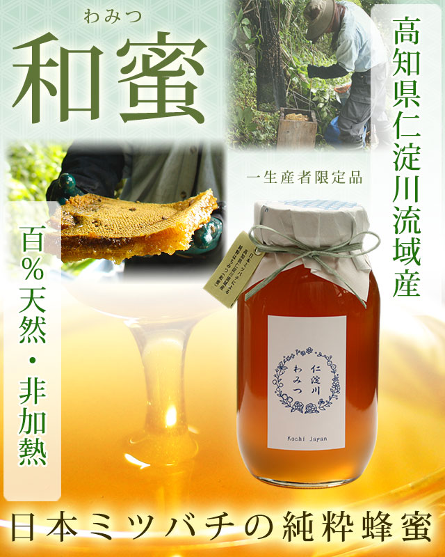 日本蜜蜂 蜂蜜 - その他 加工食品