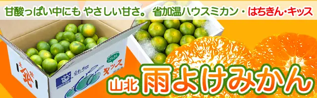 雨よけみかん・はちきんキッス（晩夏から初秋の山北みかん）