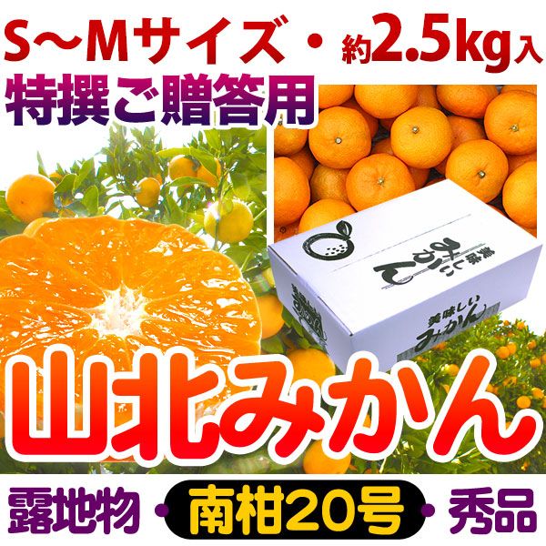 山北みかん・露地もの・南柑20号・秀品（特撰ご贈答用）・約2.5kg箱・S～Mサイズ