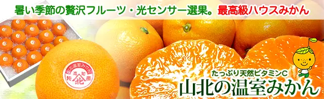 山北の温室みかん（ハウス栽培ミカン）