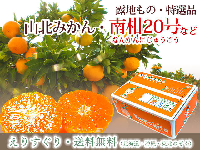 山北みかん・南柑20号（なんかん）などの販売