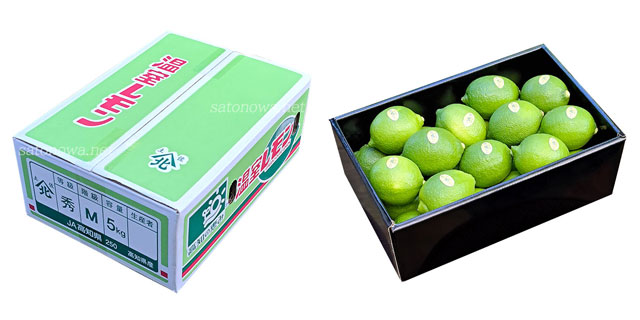 グリーンレモン（高知・山北産・特選品）箱の外観