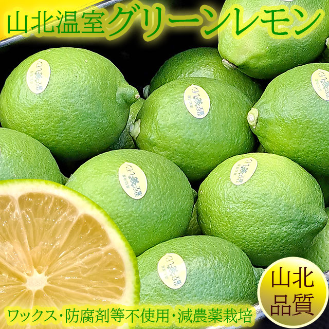山北の温室グリーンレモン（ハウス栽培）・秀品（特選クラス）・Mサイズ・お求めやすい小分け品